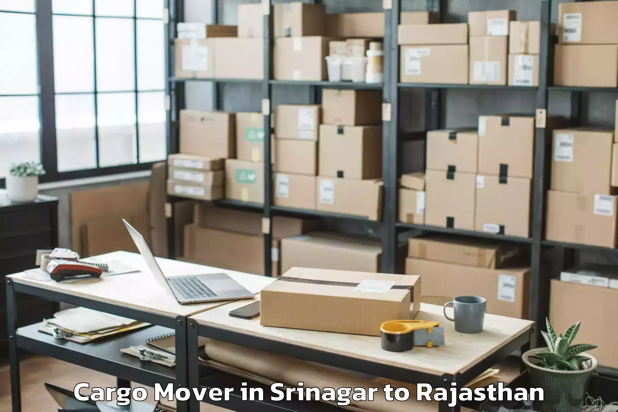 Affordable Srinagar to Geetanjali University Udaipur Cargo Mover